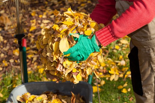 Eco-friendly garden clearance process in Forest Gate