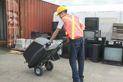 Comprehensive waste removal services overview