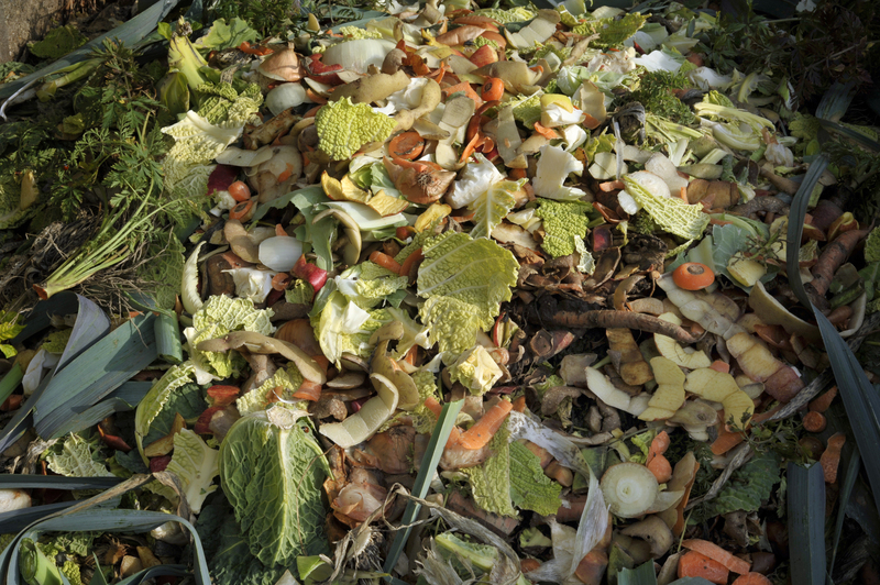 Uncover a Fresh Start with Clutter Removal and Hoarder Clean Up Professionals